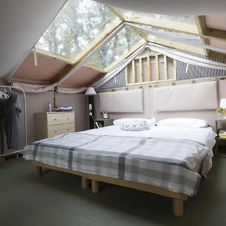 Club Del Sole Romagna Family Feriepark 4*