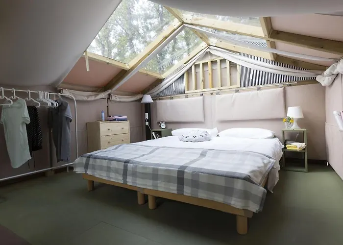 Club Del Sole Romagna Family Ferienpark 4*