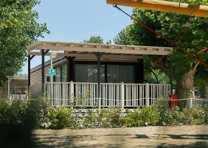 Club Del Sole Romagna Family 4* 里乔内